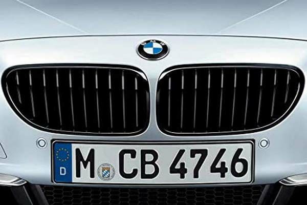 BMW Z4 フロントグリル